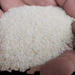chinigura rice 50KG - Image 2