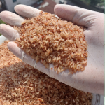 Amon rice 25 KG